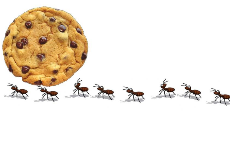 cookies-ants