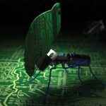 Cool-Ant-Computer-Wallpaper-Picture